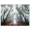Designart - Mystic Road in Forest - Landscape Photography Canvas Print